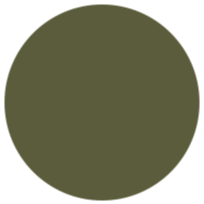 camo-green-icon